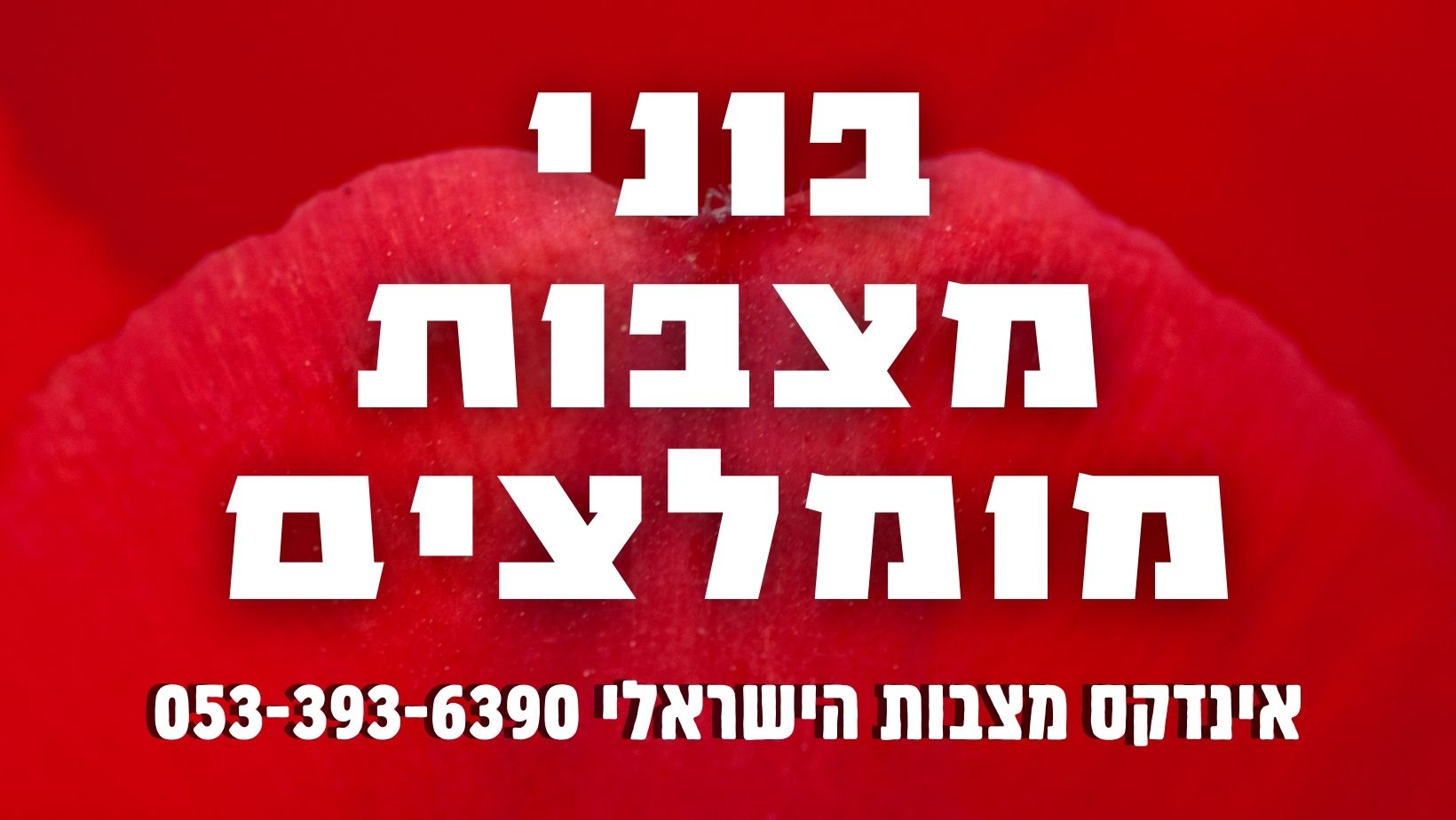 בוני מצבות מומלצים – אינדקס המצבות הישראלי