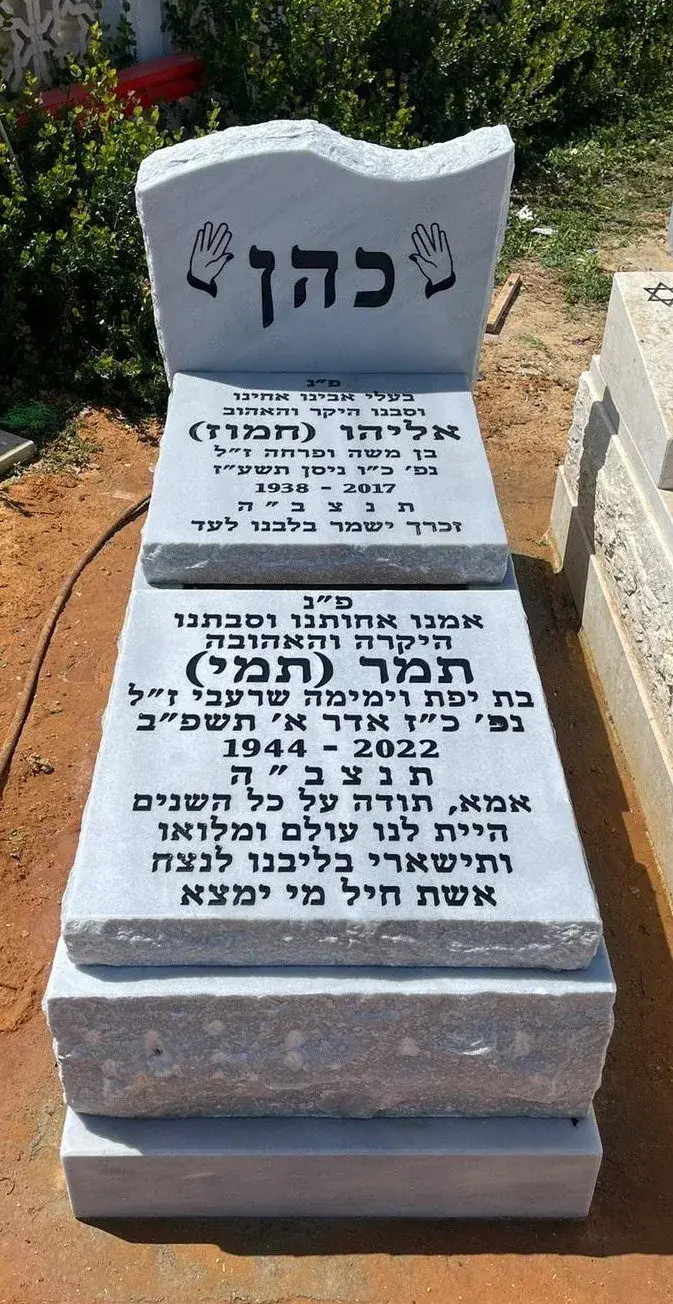 דוגמה - אגרת מצבה